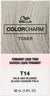 Pale Ash Blonde T14