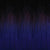 T1B/BLUE