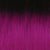 T1B/PURPLE