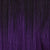 TT1B/PURPLE