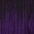 TT1B/PURPLE