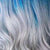 TTBLUE/SILVER